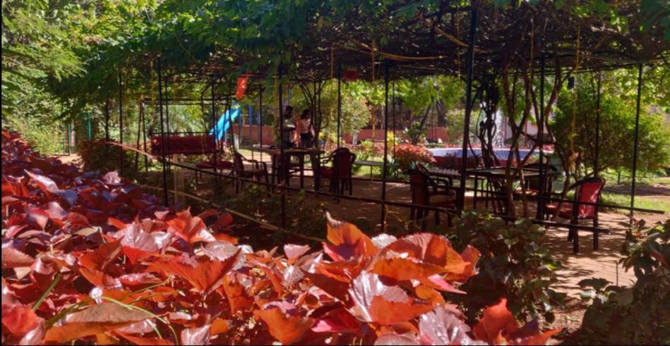 R Wood Resort マテラン エクステリア 写真